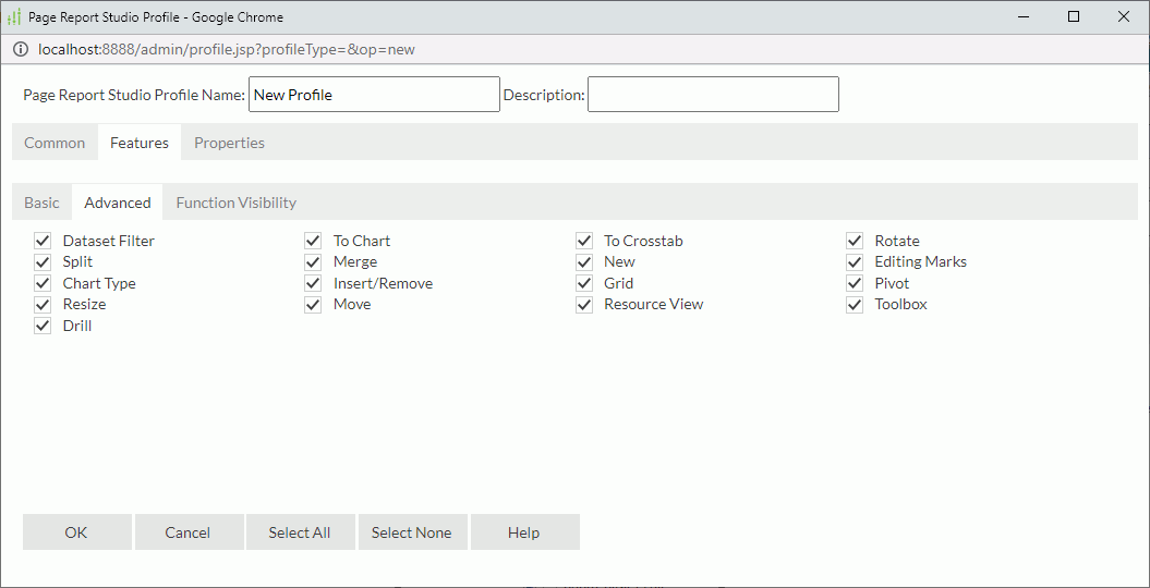 Page Report Studio Profile dialog box - Features - Advanced tab