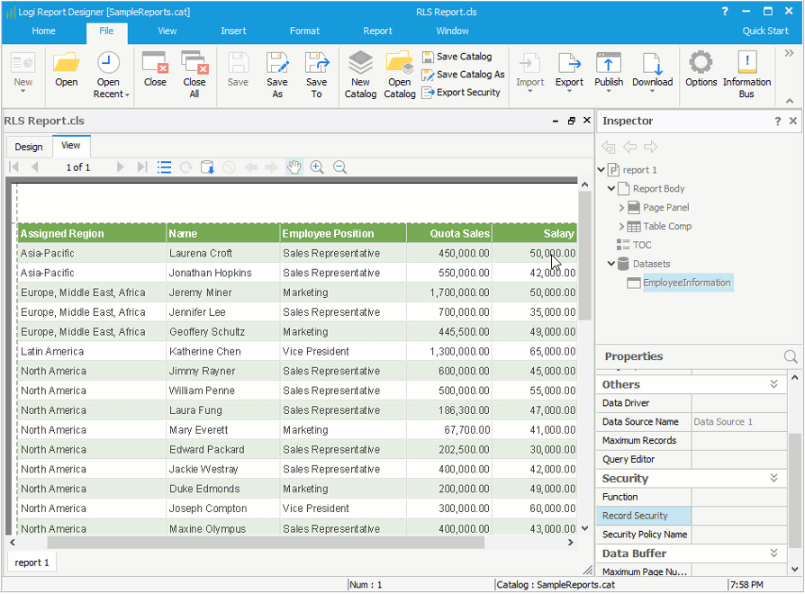 Define Report Level Security on Page Report