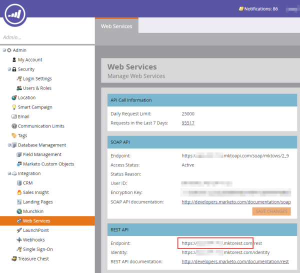 Marketo web services page